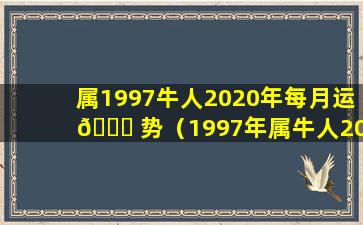 属1997牛人2020年每月运 🐎 势（1997年属牛人2024年的 🦊 运势和财运）